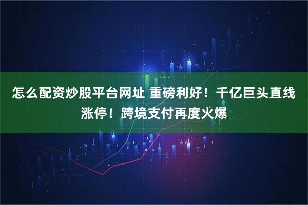 怎么配资炒股平台网址 重磅利好！千亿巨头直线涨停！跨境支付再度火爆