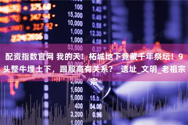 配资指数官网 我的天！柘城地下竟藏千年祭坛！9头整牛埋土下，跟殷商有关系？_遗址_文明_老祖宗