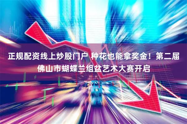 正规配资线上炒股门户 种花也能拿奖金！第二届佛山市蝴蝶兰组盆艺术大赛开启